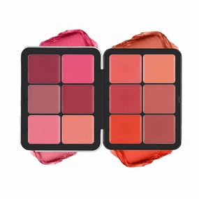 12-Color Concealer & Blush Cream Palette, 2-In-1 Cream Blush Palette, Long-Wearing Full Coverage Makeup Full Coverage Make-up Highlight Blush Palette Face Cosmetics Makeup (12-B)