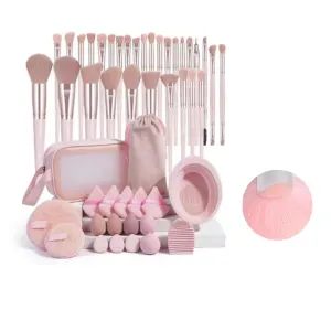 49 Pcs Makeup Brush Set,Makeup Kit with Foundation Brush,Powder Puff, Beauty Sponges,Makeup Bags for Women, Gifts For Women (Pink)