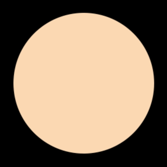 Blush Makeup Cosmetics Liquid Concealer