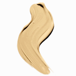 Blush Makeup Cosmetics Liquid Concealer