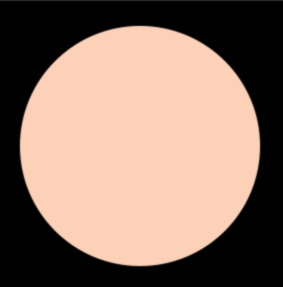 Blush Makeup Cosmetics Liquid Concealer