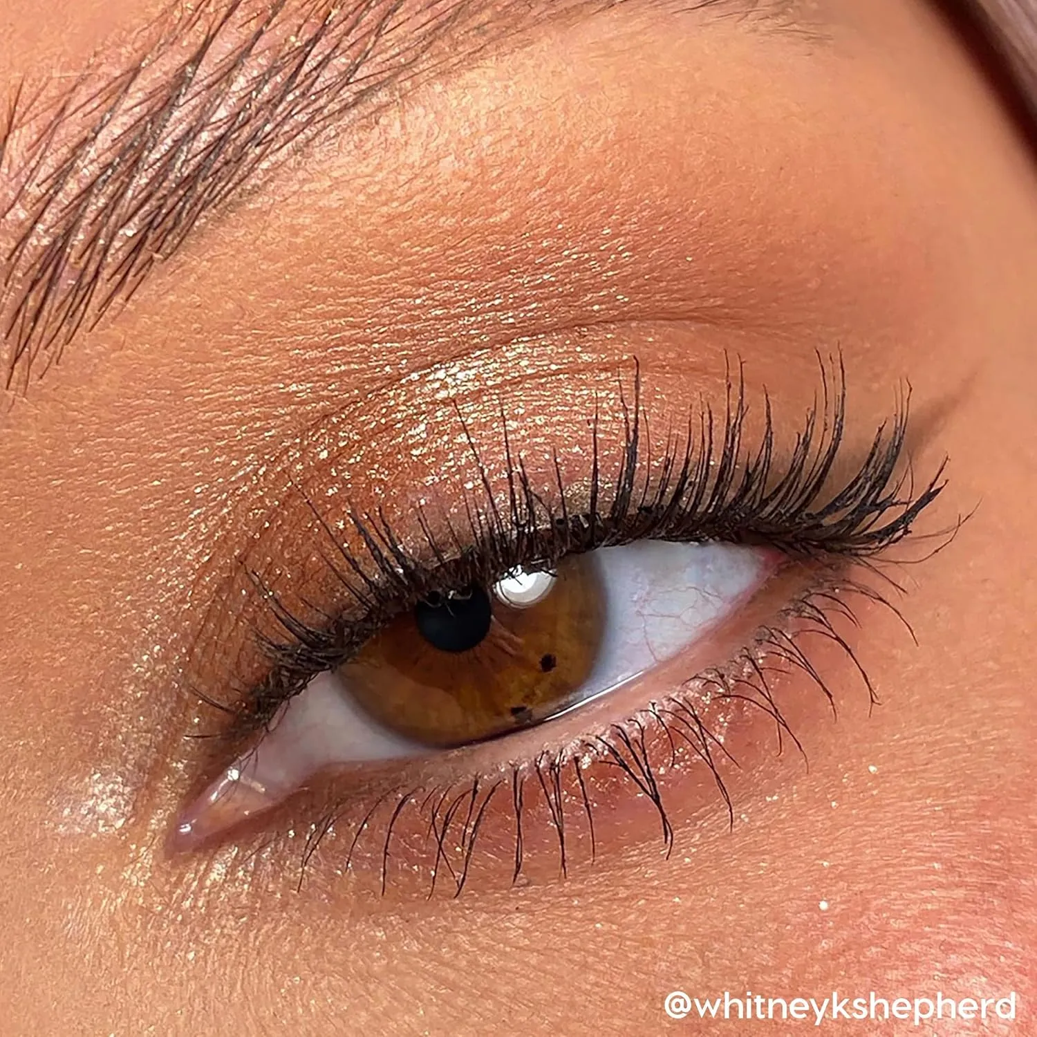 Colourpop Going Coconuts Eyeshadow Palette - Cool-Toned Neutral Eyeshadow Palette with Ultra-Velvety and Silky Finishes - High-Pigment Eye Makeup with a Long-Wearing Formula (0.3 oz)