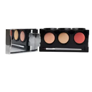 Dermaflage Tattoo Cover Up Makeup (Light) - Bruise Full Coverage Concealer - Full Coverage Waterproof Concealer for Bruise, Scar & Acne - Smudge Proof Body Makeup Palette with 3 Pro SFX Shades   Brush