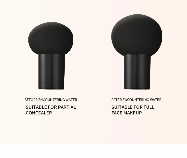 Mushroom Cushion Lightweight Concealer