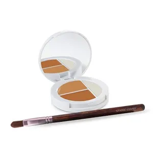 Sheer Cover Studio Conceal & Brighten Concealer- Highlight Trio Tan/Dark Shade Two-Toned Concealers Shimmering Highlighter Tan/Dark Shade with Concealer Brush